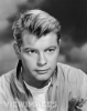 troy donahue image2