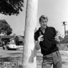 troy donahue pic