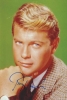troy donahue picture4