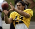troy polamalu image