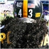 troy polamalu image1
