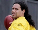 troy polamalu image3