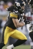 troy polamalu photo1