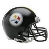 troy polamalu photo2