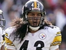 troy polamalu pic