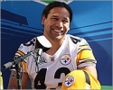troy polamalu picture1