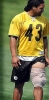 troy polamalu picture2