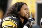 troy polamalu picture3