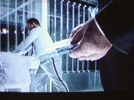 ty olsson image1