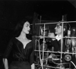 vampira photo