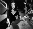 vampira picture3