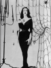 vampira picture4