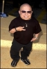 verne troyer image