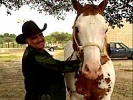 vicente fernandez image