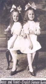 violet hilton