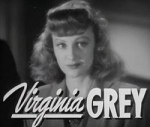 virginia grey