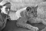 virginia mckenna