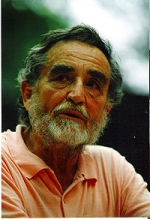 vittorio gassman