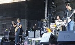 we are scientists