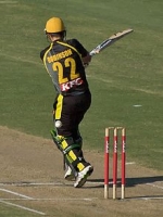 wes robinson